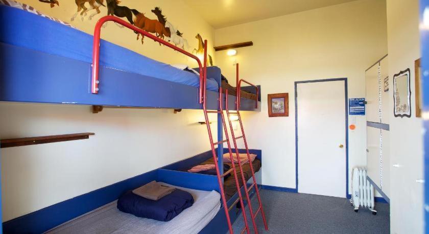 Stables Lodge Backpackers Napier Dış mekan fotoğraf