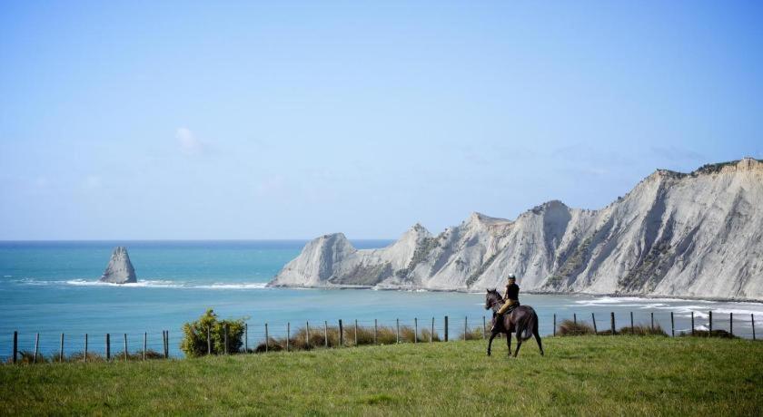Stables Lodge Backpackers Napier Dış mekan fotoğraf