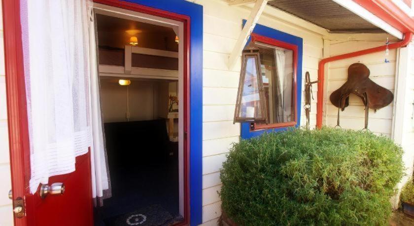 Stables Lodge Backpackers Napier Dış mekan fotoğraf